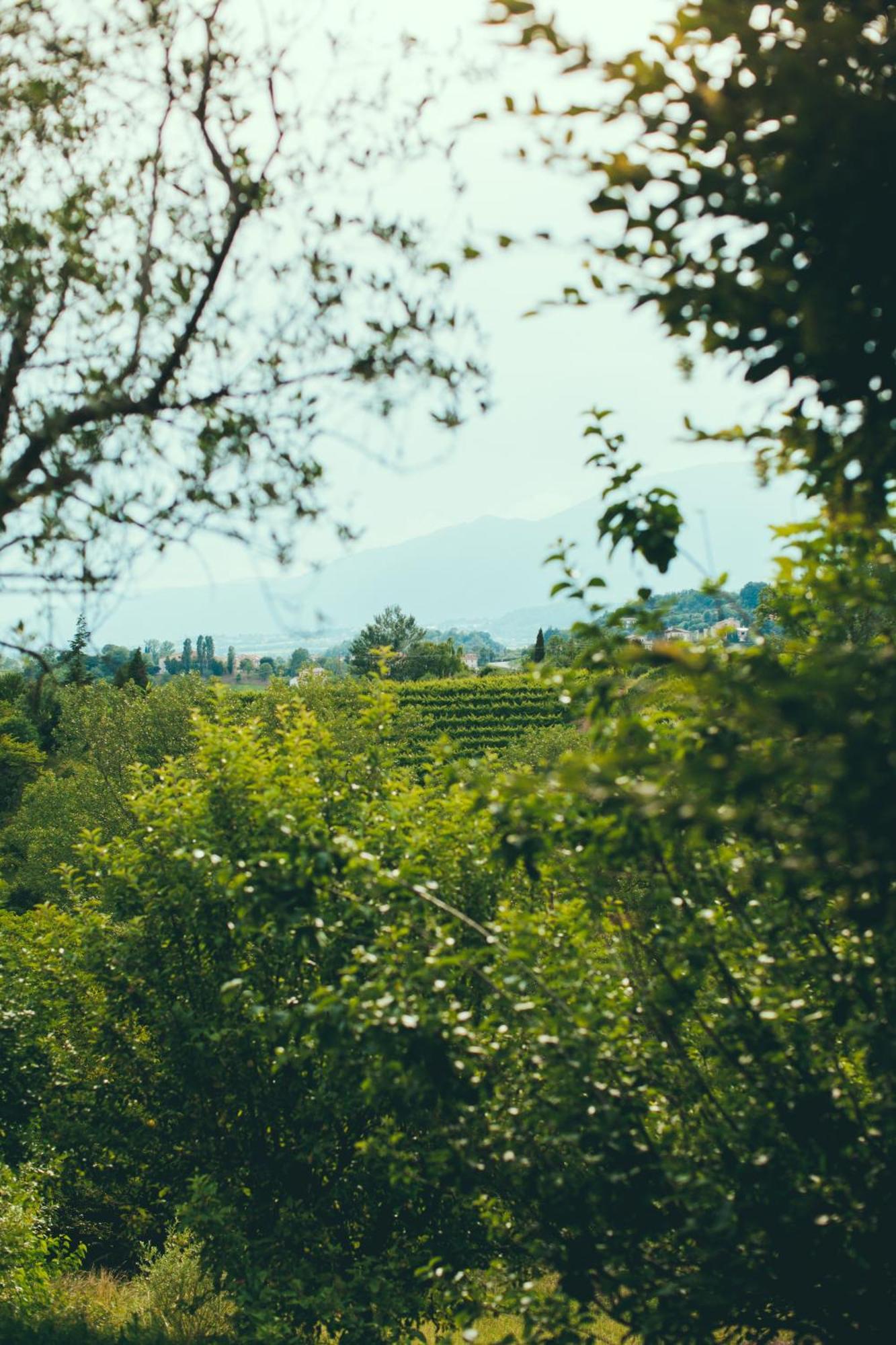 Asolo Norah'S Hill Agri Rooms Monfumo Exterior foto